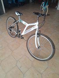 Bicicletta Mountain Bike
