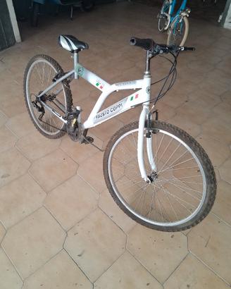 Bicicletta Mountain Bike