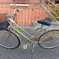Bicicletta donna ruota da 26