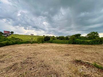 Zagarolo: terreno agricolo pianeggiante