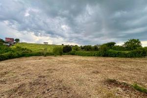 Zagarolo: terreno agricolo pianeggiante