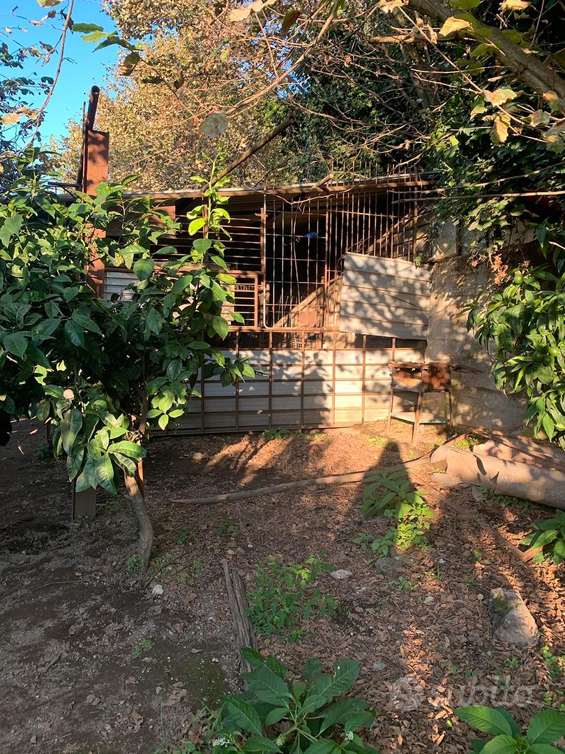 Terreno agricolo - Vista 5