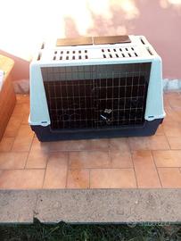 kennel cani