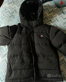 Giubbotto Dickies