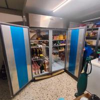 Frigo armadio a 2 ante