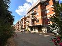 4-locali-a-viterbo