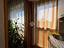 Immagine 15