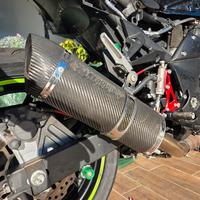 scarico ROADS carbonio Kawasaki z750 2010