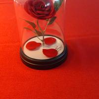 La Bella e la Bestia: rosa incantata