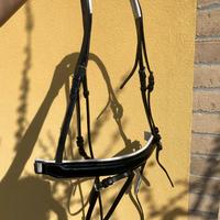Testiera per cavallo