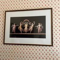 Quadri e gabbiette uccelli