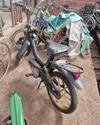 Malaguti Fifty,