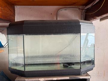 Acquario