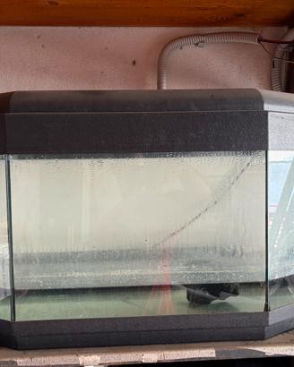 Acquario