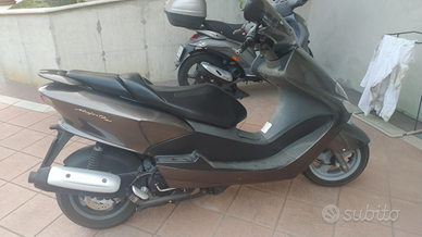 Scooter Yamaha Majesty 180 Moto e Scooter In vendita a Ascoli Piceno