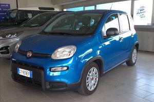 FIAT Panda 1.0 firefly hybrid s&s 70cv