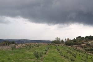 Terreno colle del sindaco