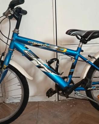 bici bimbo raggio 20