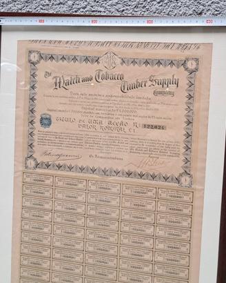 Certificato azionario Match and Tobacco