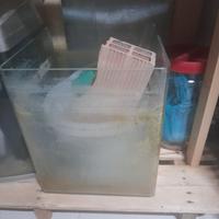 Acquario cubo