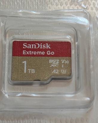 Sandisk Extreme Go 1 TB
