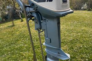 Evinrude 15 cv - Johnson 15 cv