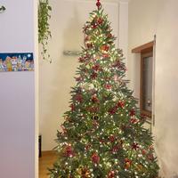 albero di natale