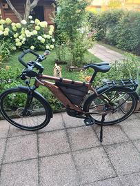 e-bike  elettrica 