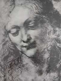 Serigrafia su Seta G.M.D'Amico-cm.41X32
