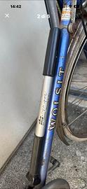 Bicicletta Wolsit