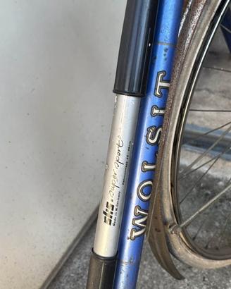 Bicicletta Wolsit