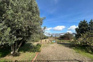 TER. AGRICOLO A SELARGIUS