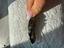 Immagine 5