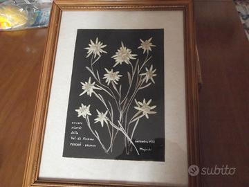 QUADRO STELLE ALPINE