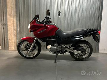 Suzuki XF 650 Freewind