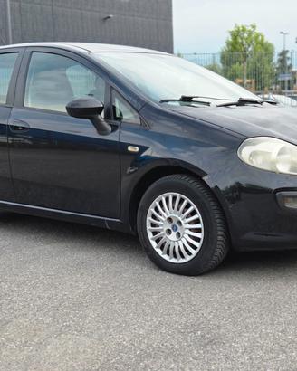 Fiat Punto Evo 1.3 Mjt 75 CV 5 porte Active