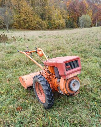 Motocoltivatore valpadana