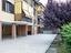 Immagine 15