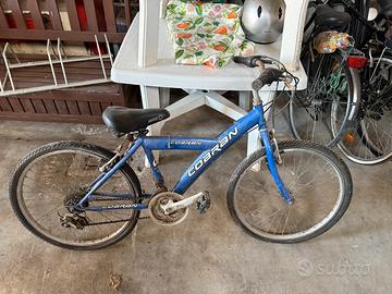 Bici da ragazzo