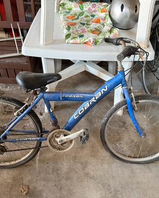 Bici da ragazzo