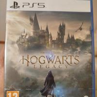 Hogwarts Legacy ps5