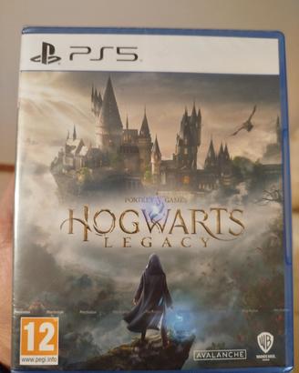 Hogwarts Legacy ps5