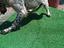 Immagine 5
