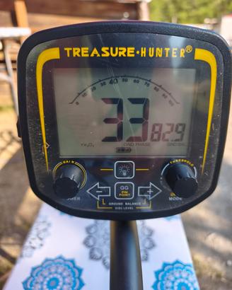 metal detector 