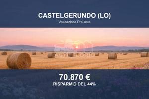 Immobile in asta di 18400 m² a Castelgerundo