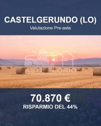 Immobile in asta di 18400 m² a Castelgerundo