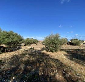Terreno di 7000 m² a Cinisi