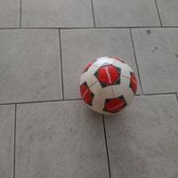 Pallone da Calcio
