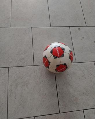 Pallone da Calcio