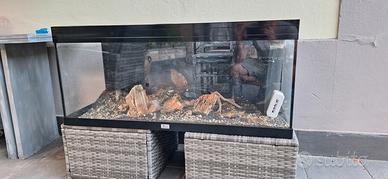 Acquario ACQUATLANTIS Prestige 100